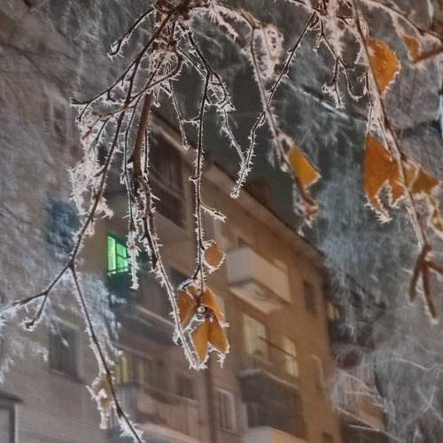 Photo #11735696