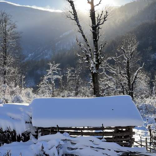 Photo #11735705