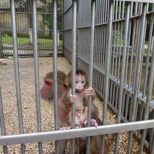 Photo #11735843
