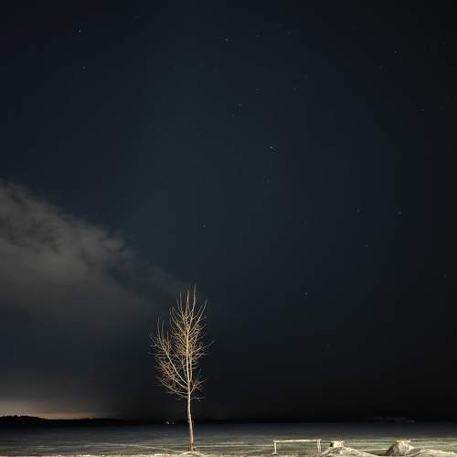 Photo #11735920