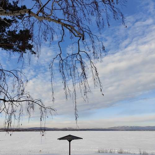 Photo #11735932