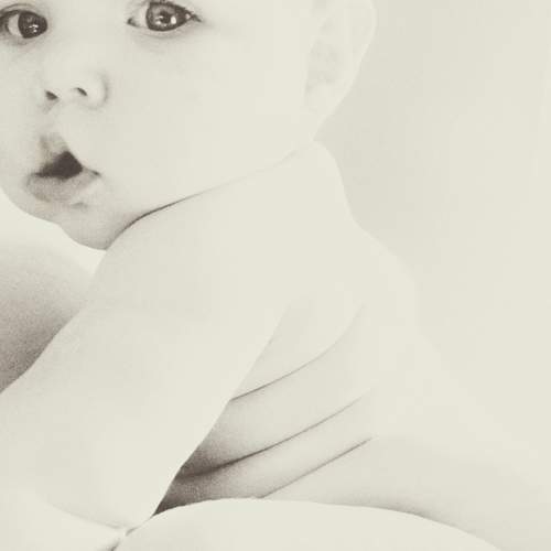 Photo #11735966