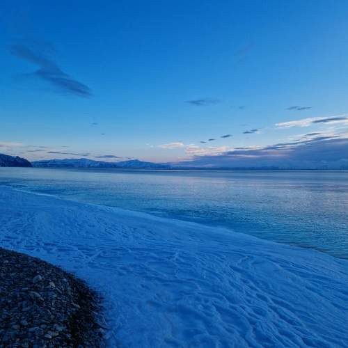 Photo #11736002