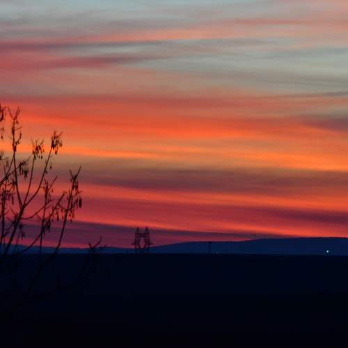 Photo #11736079