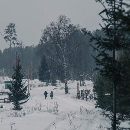 Photo #11736197