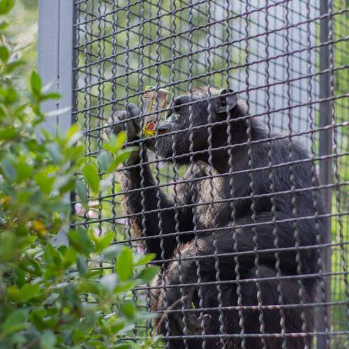 Photo #11736249