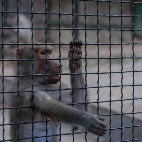 Photo #11736250