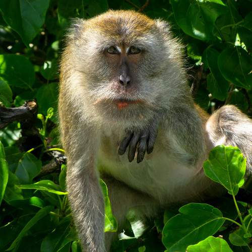 Photo #11736312
