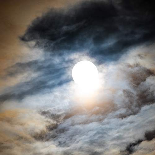 Photo #11736344