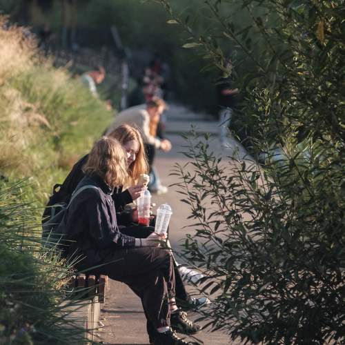 Photo #11736365