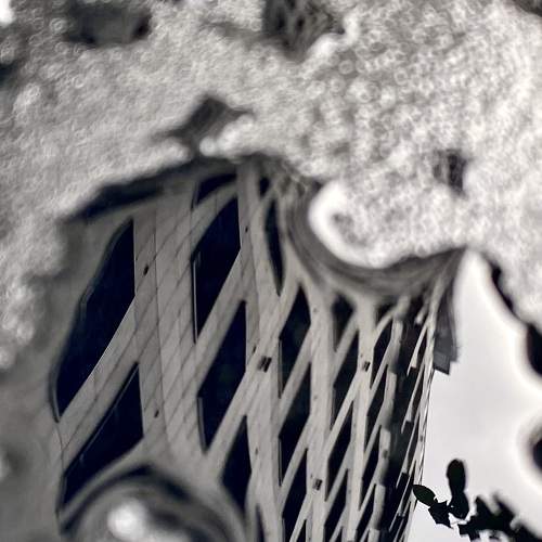 Photo #11736402