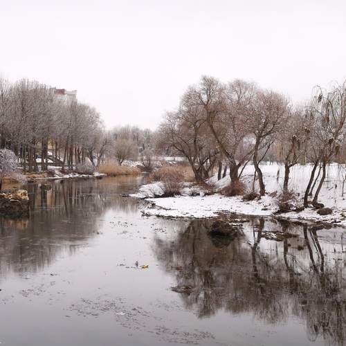 Photo #11736496