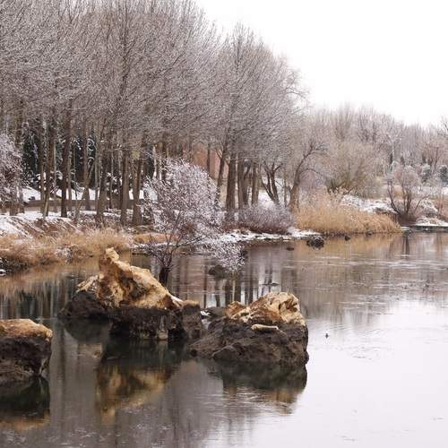 Photo #11736497