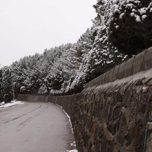 Photo #11736498