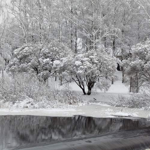 Photo #11736581