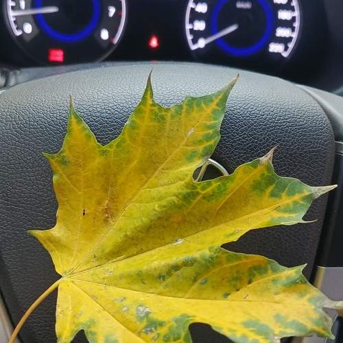 Photo #11736591