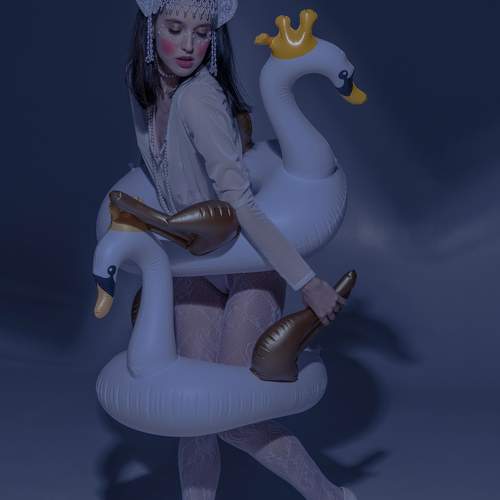 Photo #11736615