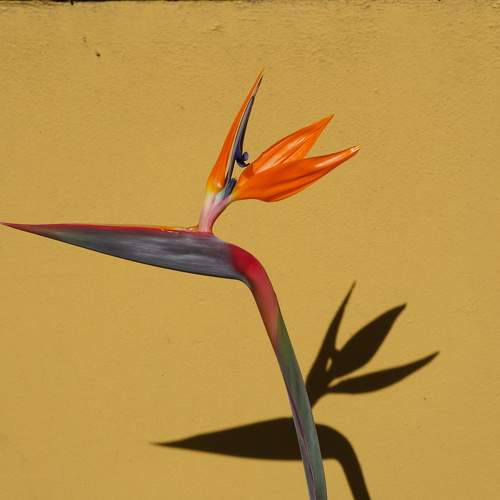Photo #11736685