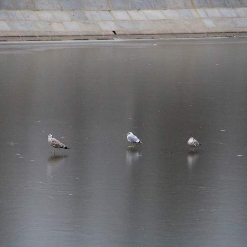 Photo #11736756