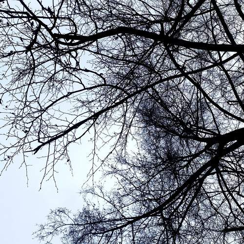 Photo #11736876