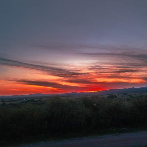 Photo #11736978