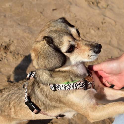 Photo #11737042