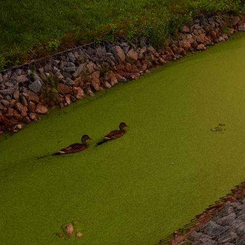Photo #11737109