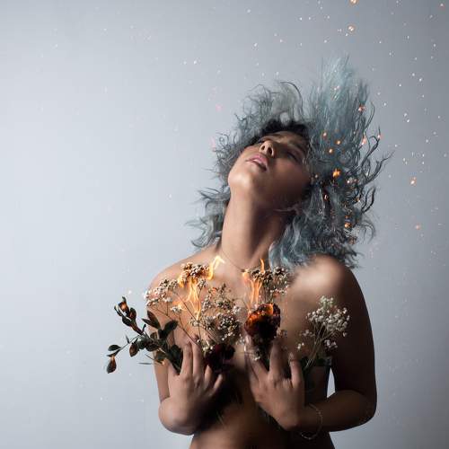 Photo #11737134
