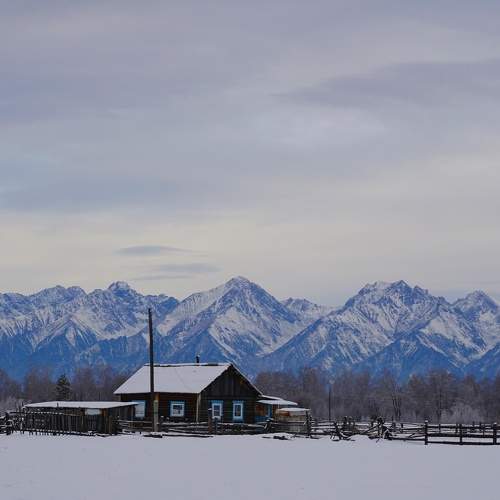 Photo #11737184