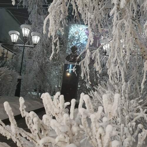 Photo #11737431