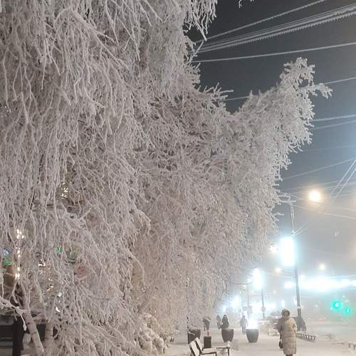 Photo #11737433