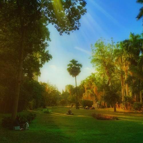 Photo #11737473