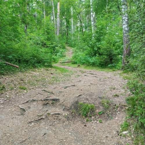 Photo #11737484