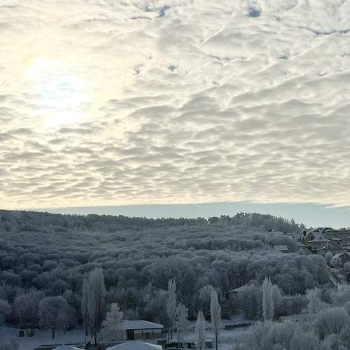Photo #11737515