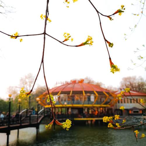 Photo #11737541