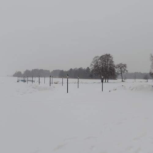 Photo #11737610