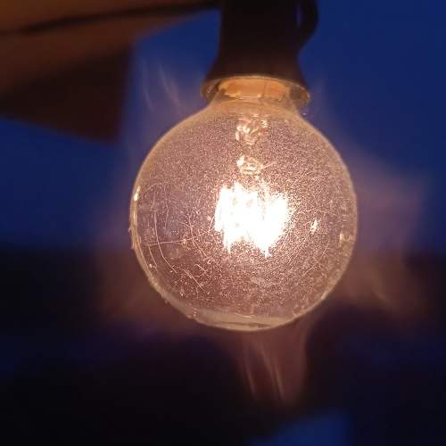 Photo #11737626