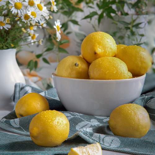 Photo #11737702