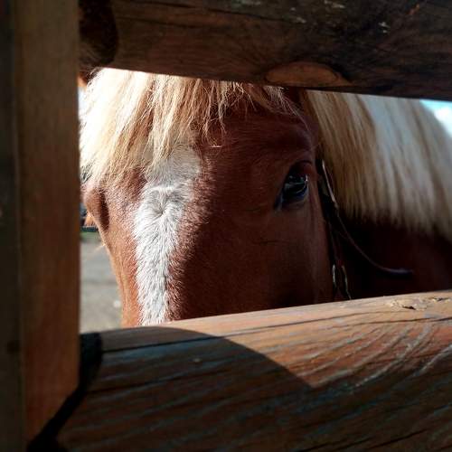 Photo #11737705