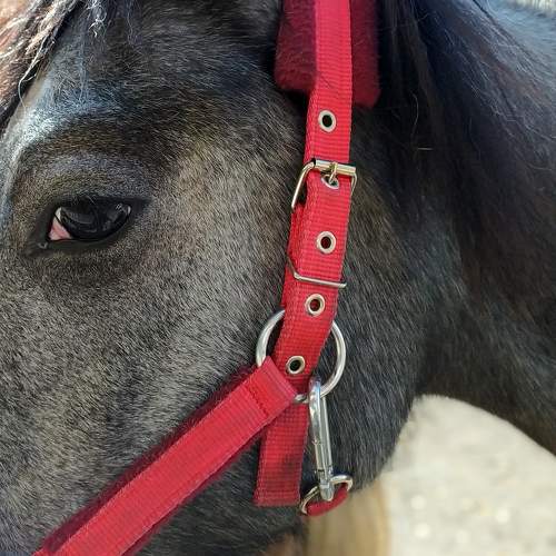 Photo #11737736