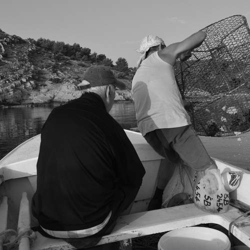 Photo #11737945