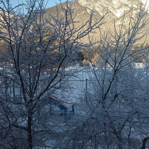 Photo #11738014