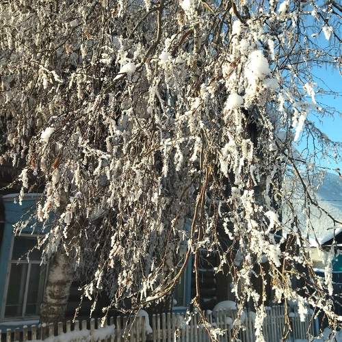 Photo #11738026