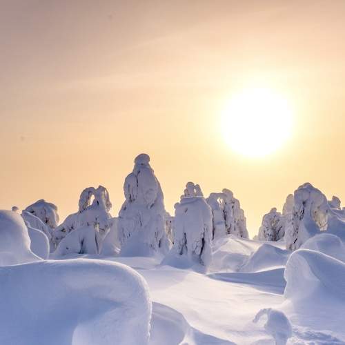Photo #11738090