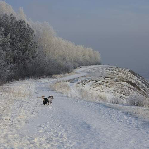 Photo #11738184