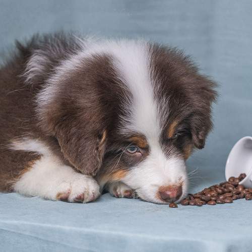Photo #11738193