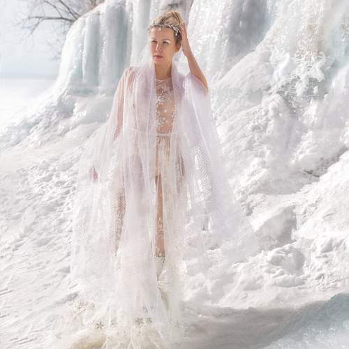 Фотография #11738285