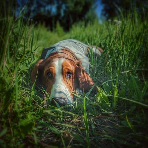 Photo #11738305