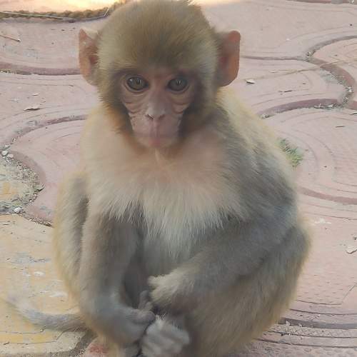 Photo #11738396