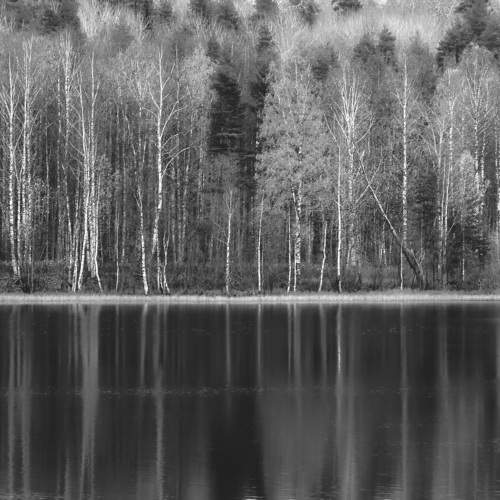 Photo #11738404